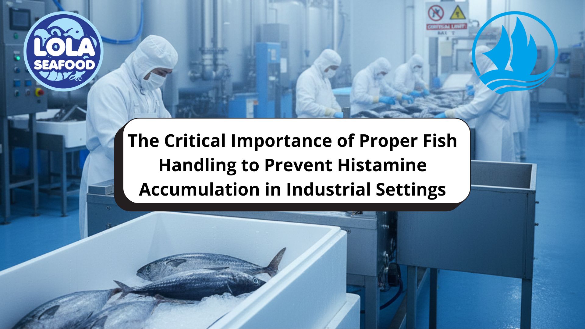 The Critical Importance of Proper Fish Handling to Prevent Histamine Accumulation in Industrial Settings